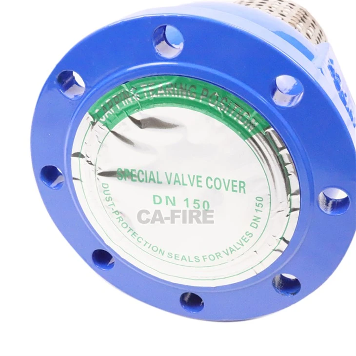 High-Quality Foot Valve Flange (Red/Blue) For Reliable Fire Systems best