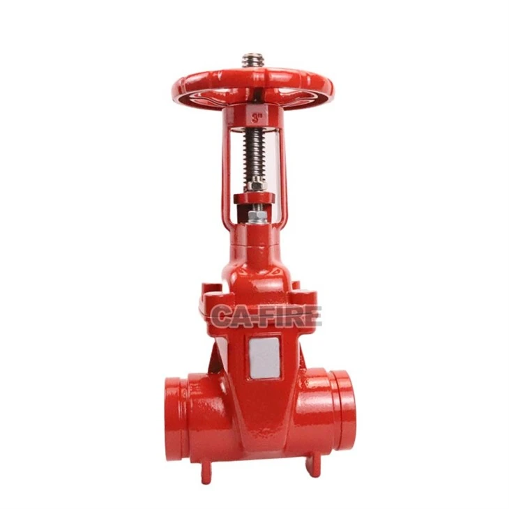 Fire Fighting System Valve