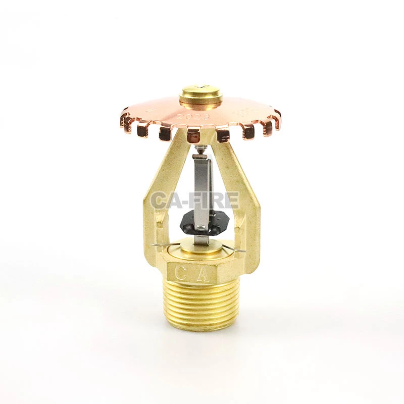 product-800-800