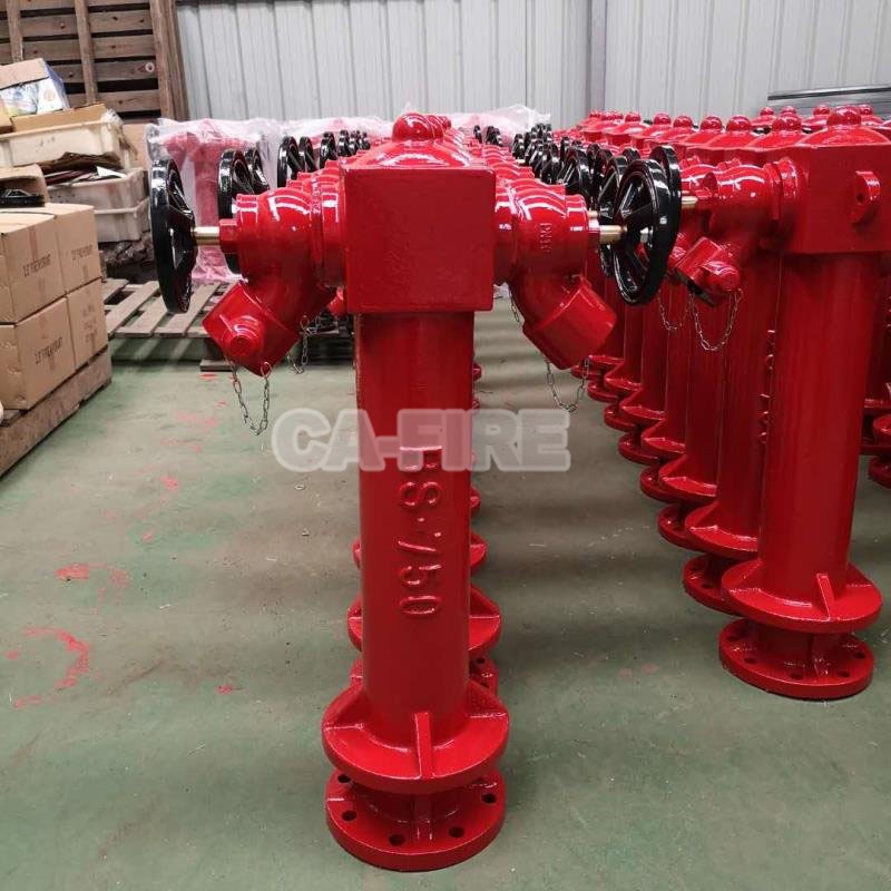 product-800-800 product-800-800
