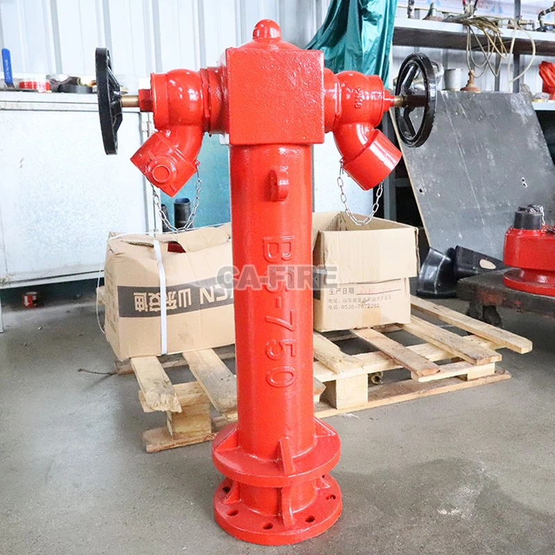 product-800-800 product-800-800