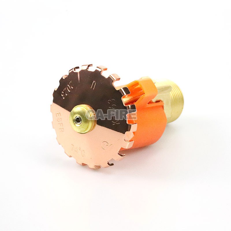 product-800-800